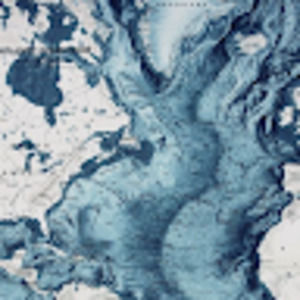 Meet your Posher, Anu